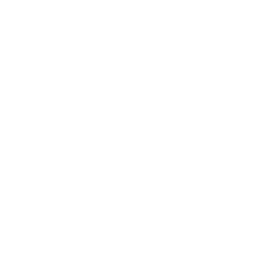 Government & Public Sector
